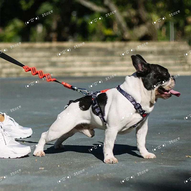 explosion-proof medium and lar – обзор и цена Pet Supplies Usa