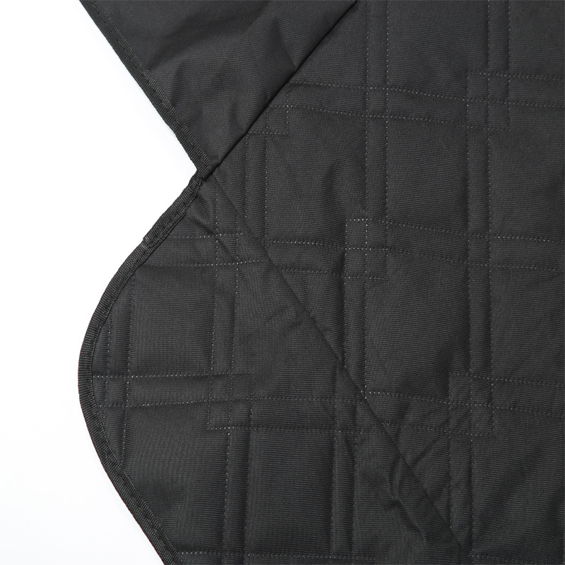 Pet Pad for Tesla Model 3 Y Re – обзор и цена Dog Raincoat