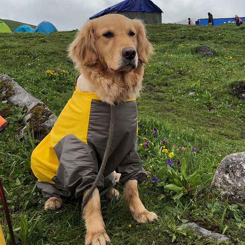 Pet Large Dog Raincoat Outdoor – обзор и цена Dog Raincoat