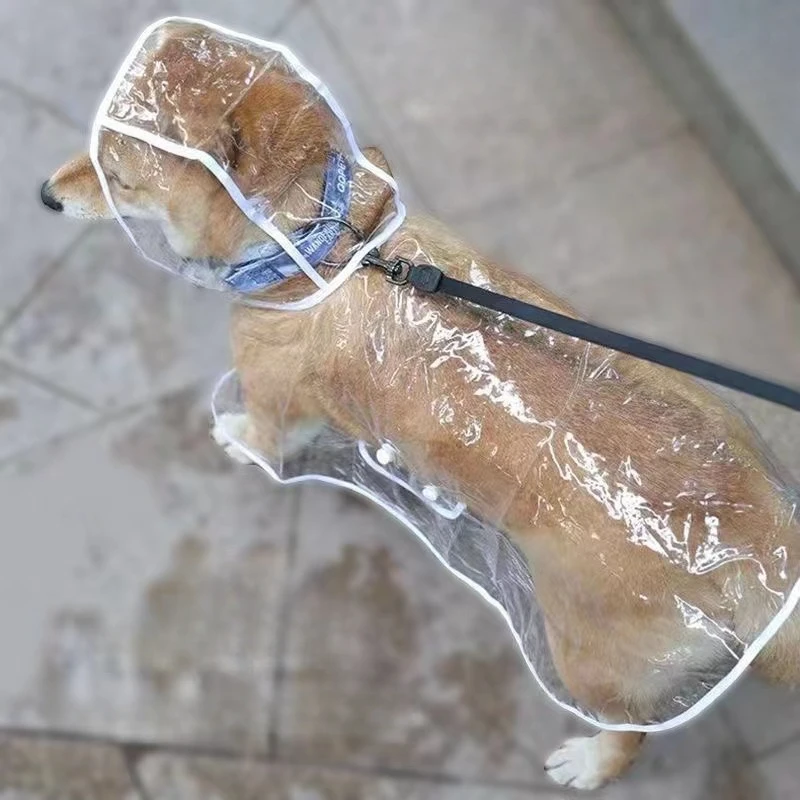 Dog Raincoat Puppy Transparent – обзор и цена Dog Raincoat