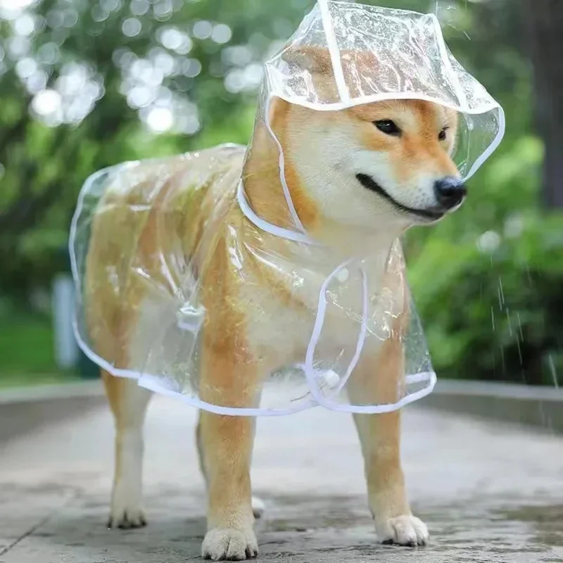 Dog Raincoat Puppy Transparent – обзор и цена Dog Raincoat