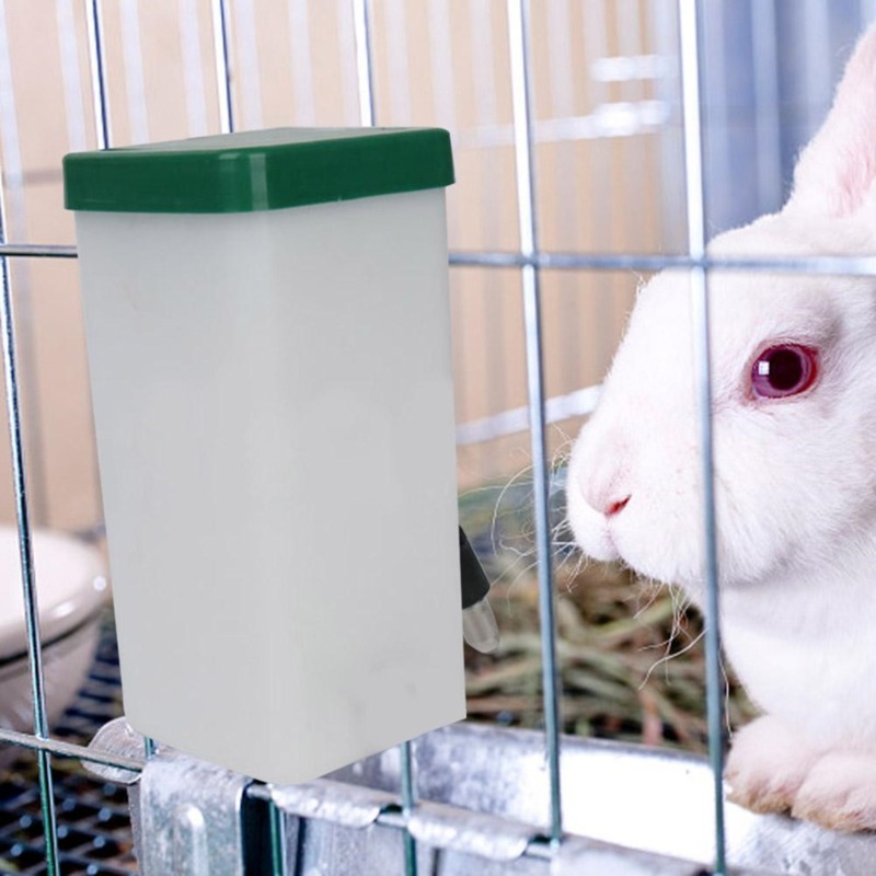 Creative Rabbit Water Dispense – обзор и цена Pet Supplies Outlet