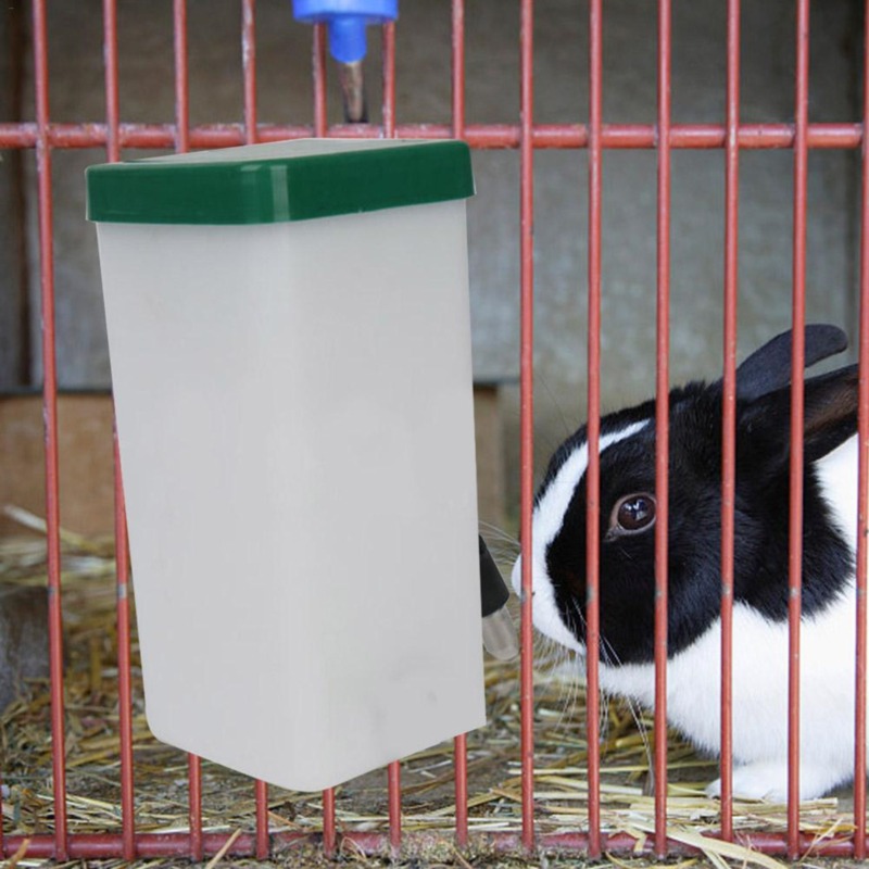 Creative Rabbit Water Dispense – обзор и цена Pet Supplies Outlet