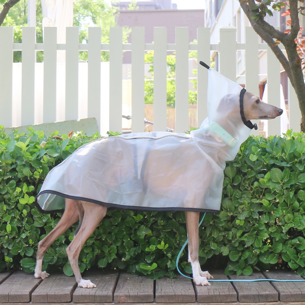 Waterproof Rainproof Windproof – обзор и цена Dog Raincoat