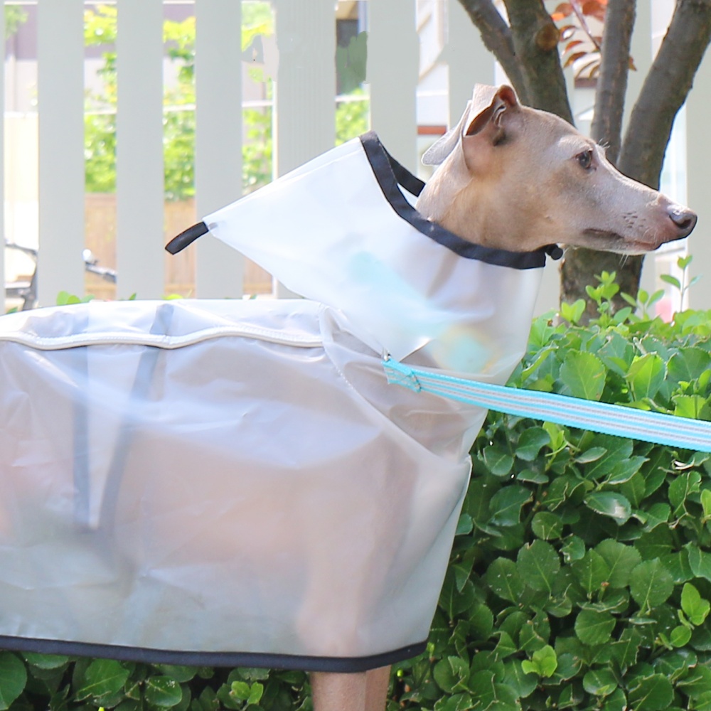 Waterproof Rainproof Windproof – обзор и цена Dog Raincoat