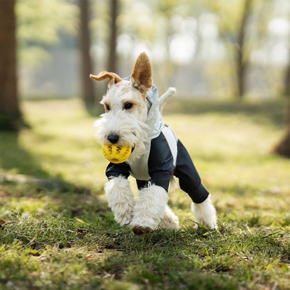 Lightweight dog raincoat with  – обзор и цена Dog Raincoat