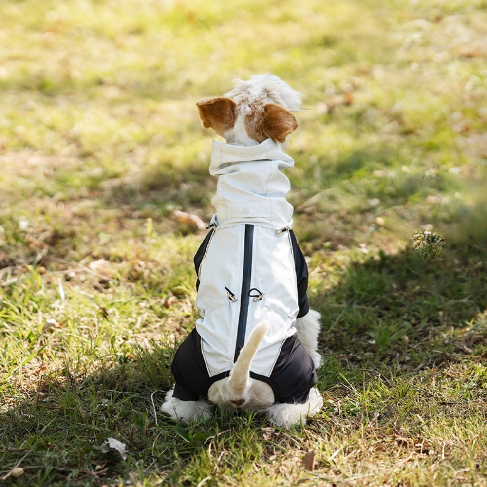 Lightweight dog raincoat with  – обзор и цена Dog Raincoat