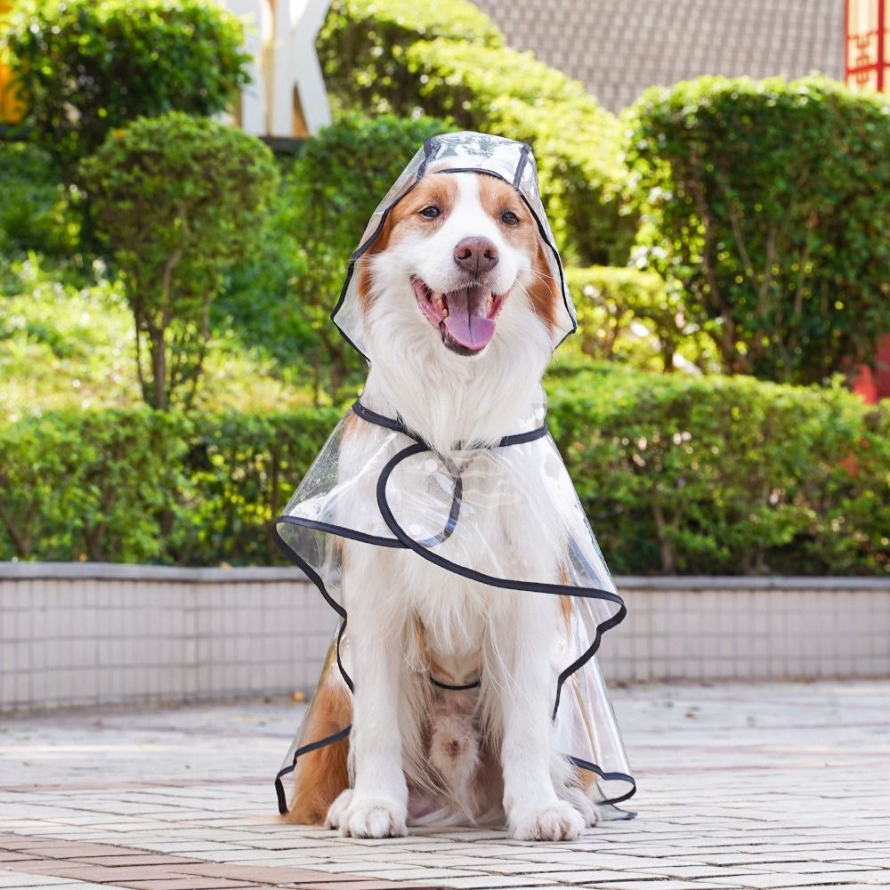 Pet Accessories Transparent Do – обзор и цена Dog Raincoat