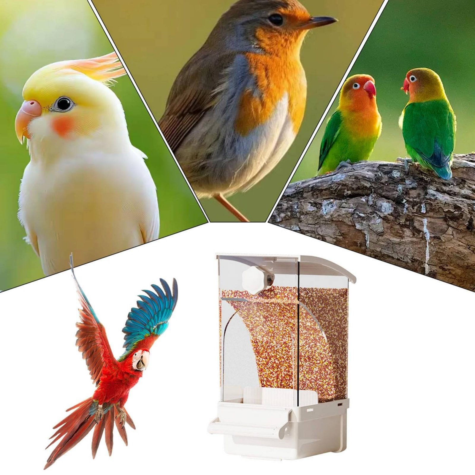 Automatic Avian Feeder Husk Se – обзор и цена Pet Supplies Usa