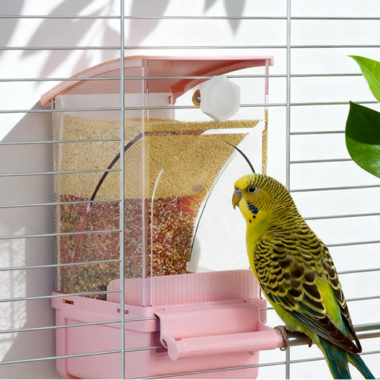 Automatic Avian Feeder Husk Se – обзор и цена Pet Supplies Usa