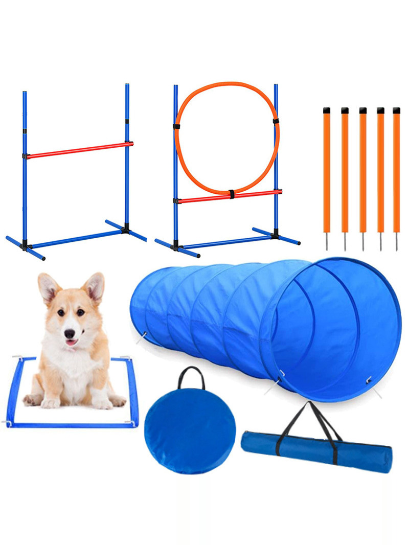 Dog Obstacle Training Competit – обзор и цена Pet Supplies Usa
