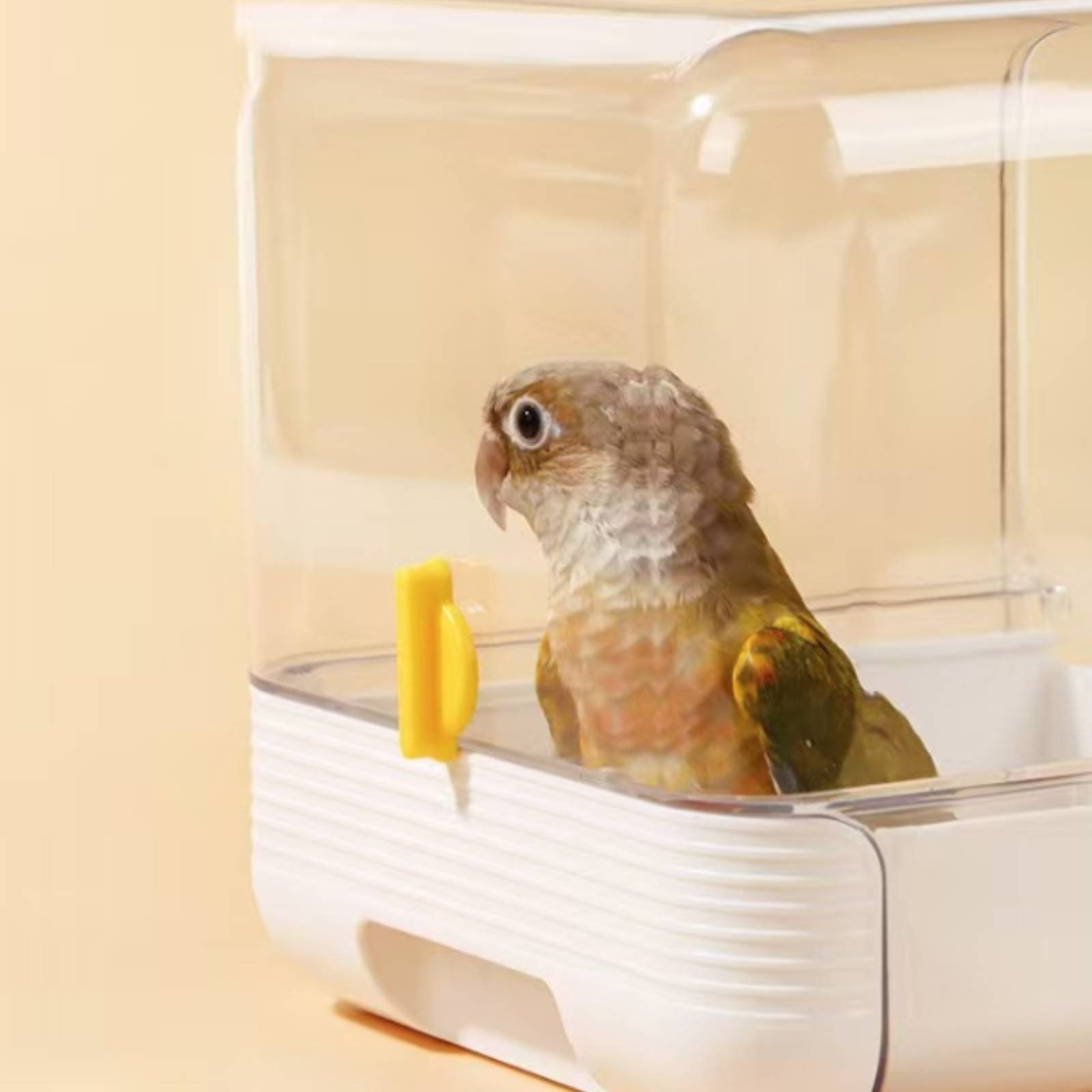 Parrot Bathing Tub Multi Funct – обзор и цена Pet Supplies Usa